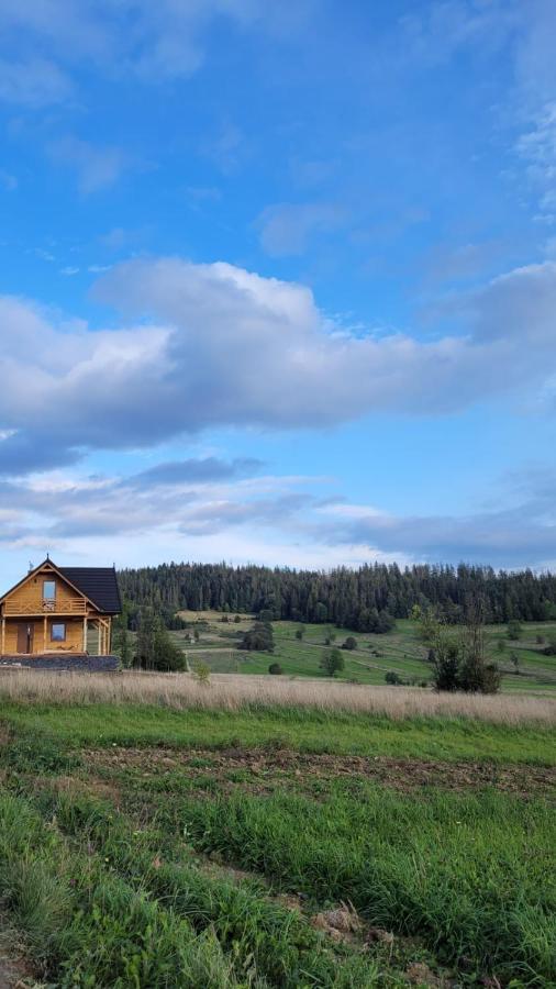 Hamajdowka Villa Zubrzyca Gorna ภายนอก รูปภาพ